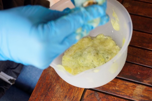 Extracting snail slime